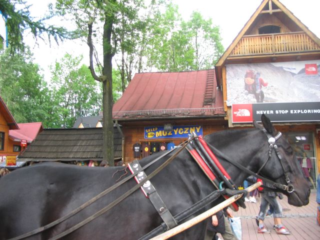 zakopane 140